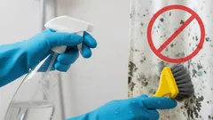 Jak odstranit plíseň z koupelnového závěsu pomocí domácího triku zdarma