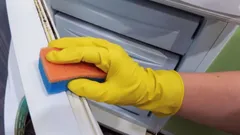 Nejlepší tipy na odstranění plísně z těsnění v lednici přírodní cestou