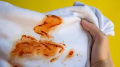 Odolné rajčatové skvrny? Zjistěte, jak je vyčistit bez zničení látky