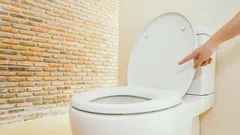 Proč by se WC prkénko nemělo nechávat otevřené – zapamatujte si to navždy