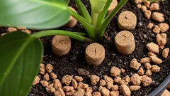 Proč se doporučuje umisťovat zátky do zeminy rostlin a k čemu slouží