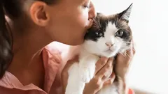 Mají kočky rády, když je líbáme? Jak poznat, že jim to vadí