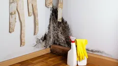 Tmavé skvrny na tapetách nejsou jen špína, mohou být známkou nebezpečné plísně pod nimi