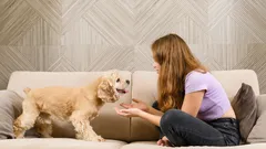 Jak mluvit se svým psem, aby vám skutečně rozuměl: vědecký přístup