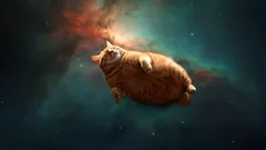 Mýty a zajímavosti o kočičích objektech na obloze