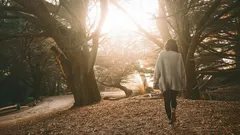 Mýtus o 10 000 krocích: Kolik kroků je skutečně potřeba pro zdraví a dlouhověkost