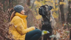 Šest jasných signálů, že vás váš pes miluje a co znamenají pro váš vztah